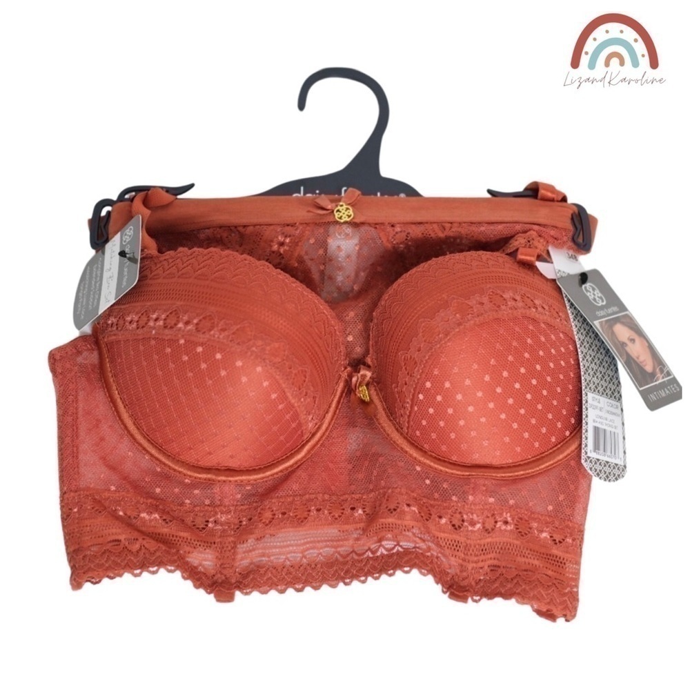 New! Daisy Fuentes Rust Push Up Bra Thong Longline Lace Sexy Lingerie Set